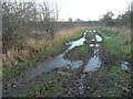 Track and apples, near Low Laithes, Kirkhamgate