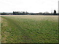 Open land by the Ashby Canal, Hinckley