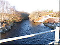 NH7491 : Winter Sun on River Evelix near Rearquhar by Sarah McGuire