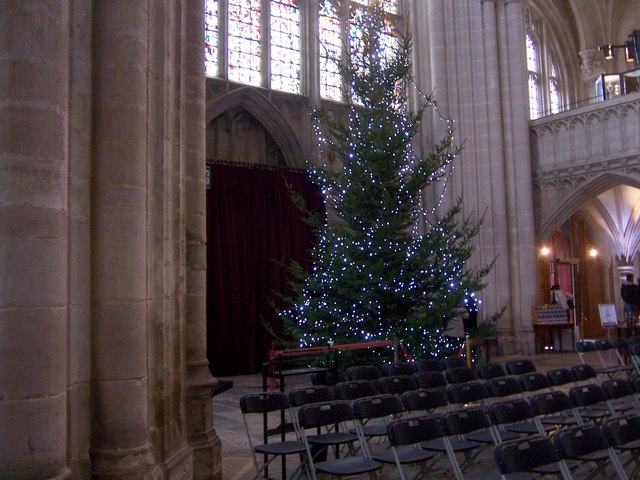 Christmas Tree - Winchester Cathedral © Colin Babb :: Geograph Britain ...