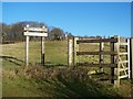 Entrance into White Horse Wood