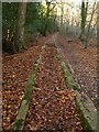 Haytor granite tramway in Colehays Plantation