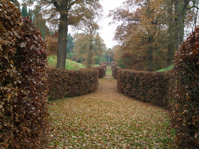 Chatsworth Serpentine Hedge