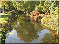 The Basingstoke Canal west of Scotland Bridge