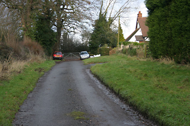 Whitestitch Lane