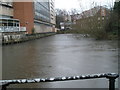 The River Wey by Debenhams Restaurant