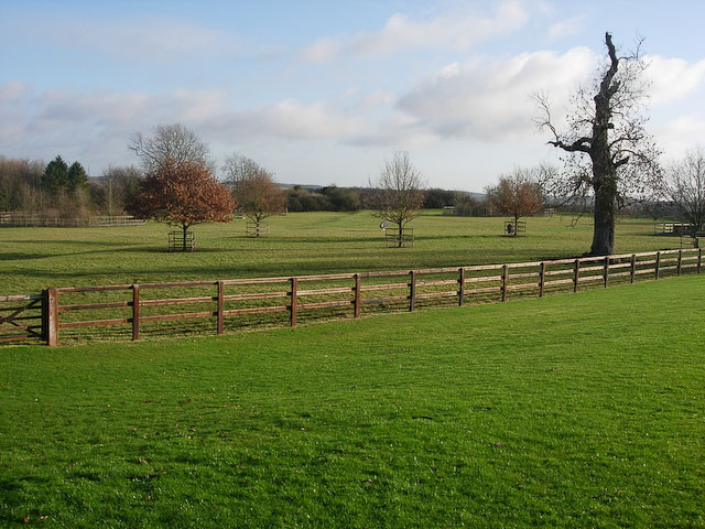 Horse paddock at Place Farm