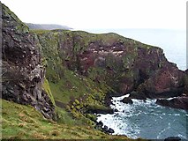 NT9169 : Cliffs at St Abb's Head by Oliver Dixon