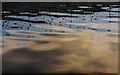 SX9192 : Reflections, Exe Flood Relief Channel by Derek Harper