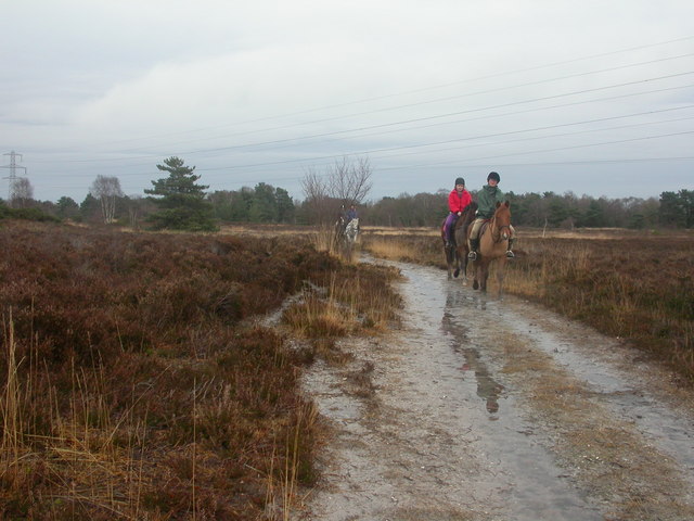 Horse riding, Parley Common