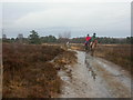 SZ0999 : Horse riding, Parley Common by Mike Faherty