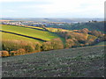 View down the Redford valley