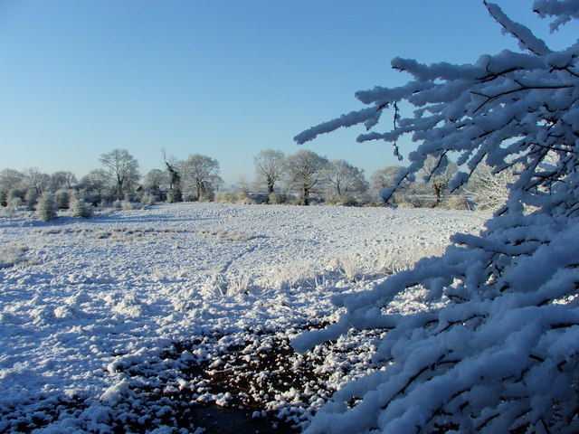 Mobberley Nature Reserve from Townfield... © David Butler :: Geograph ...