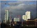 Tower blocks and cranes