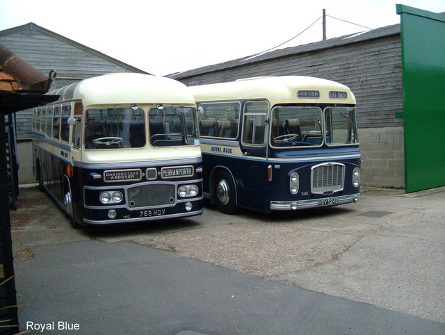 Royal Blue Coaches