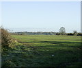 2008 : Pasture near Sharpshaw Farm