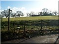 Footpath to Rumstead Court