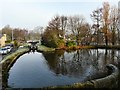 Marple Basin