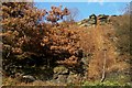 Crags Near to The Rivelin Inn, Under Tofts, Sheffield