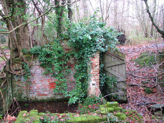 A sluice in the woods - part of a brick wall