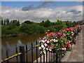 Gloucester: The Quay