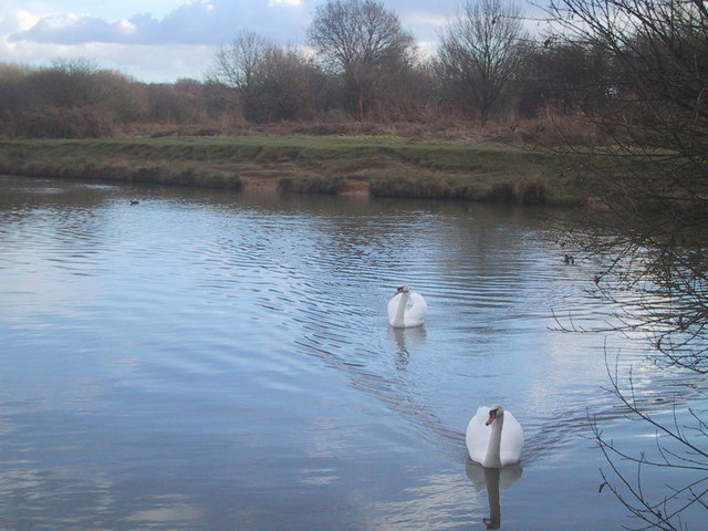 Ditchling Common lake © David Cumberland cc-by-sa/2.0 :: Geograph ...