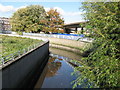 Bend in the River Ravensbourne