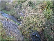 SK1172 : River Wye from railway viaduct by David Stowell