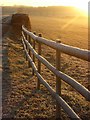 Frosty fence, Crowmarsh