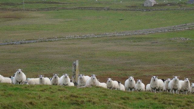 Being watched at Cille Pheadair