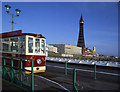 Blackpool tower and Lewis