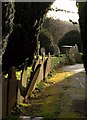 Gravestone by the path, Ashburton