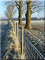 Farmland, Ewelme