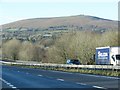 The A38 near Cheston