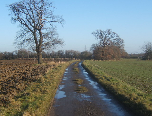Chapel Farm Lane, looking east