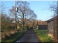 Byway past Chapel Farm