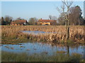 Pond, waterlogged green and houses at Mellis