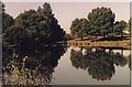 Boggart Hole Clough Fishing Pond