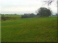 Pastures by the Loach Brook