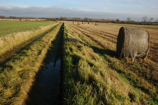 Bridleway and track near Norton