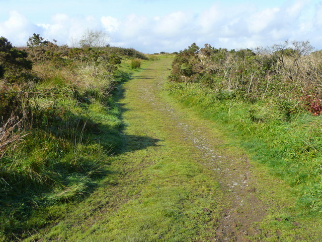 Track onto moorland
