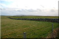 Dry stone wall