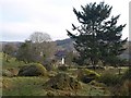 Boulders, Town Orchard, Lustleigh