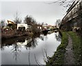 Peak Forest Canal