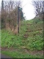 Footpath up the Steps to field