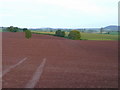 SO4714 : Red soil of Monmouthshire by Jonathan Billinger