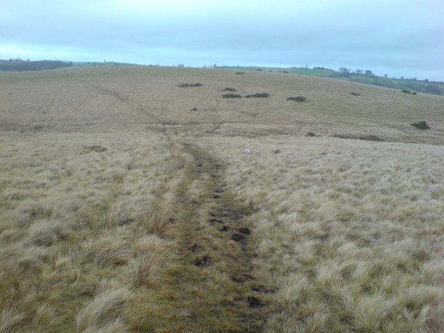 Path across the moor