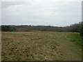 Barton Common, looking south