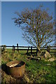 Tub & tree near Boydston Farm