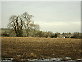 2008 : North east from Paulton Lane